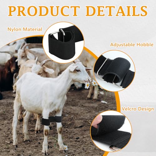 Adjustable Goat Hobbles Binding Tool Nylon Goat Milking Hobbles Goat Milking Supplies Black Goat Binding Tool Goat Banding Kit for Milking Goat Mini Goat Nigerian Dwarfs Nubian Goats