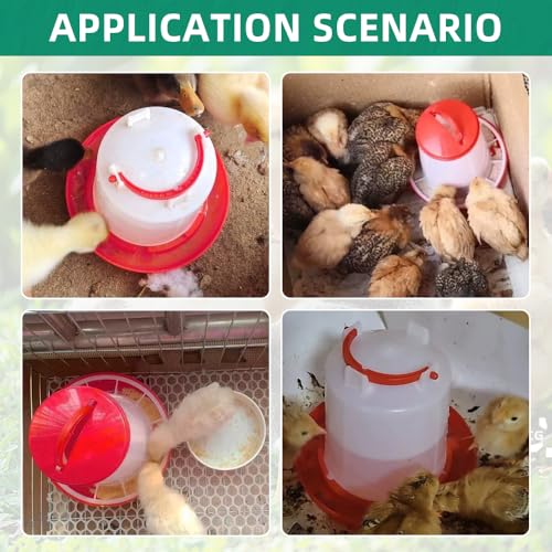 Chick Feeder and Drinker kit Hanging 3.3 Pound Chicken Feeder & 1.58 Quart Poultry Waterer for coturnix Quail. Broilers Ducks and Geese