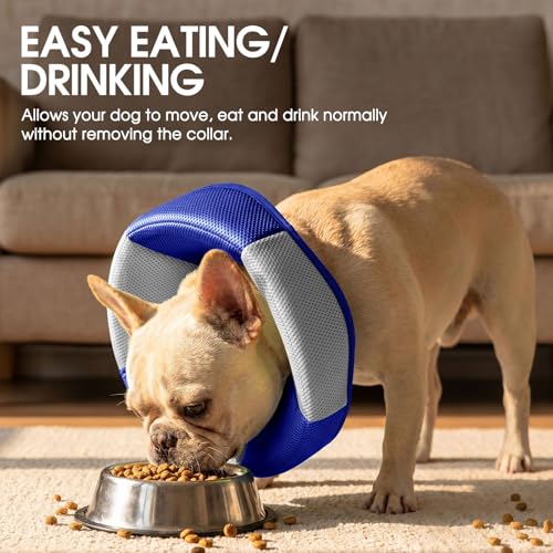 Dog Cone - Soft Cone for Dogs to Stop Licking, Pet E-Collar Alternative After Surgery, Adjustable Pet Recovery Collar for Wound Healing, Blue Large - color: Blue, size: Large