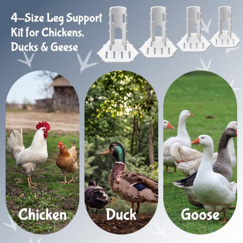 Xuhal 8 Pack Poultry Leg Support Kit with Toe Separator & Bandage 4 Sizes Chicken Splint for Broken Feet & Curled Toes Fixing Fractures, Curled Toes, Bumblefoot in Ducks, Chickens, Geese(White) - color: White