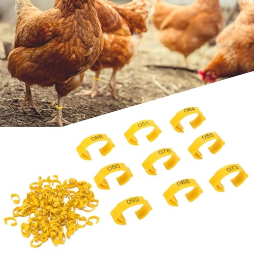 100Pcs Chicken Leg Rings, 5 Colors Readable Numbered Chicken Identification Leg Bands Card Slots Design Poultry Leg Tags for Chicks Ducks (Yellow (100 Pieces per Pack)) - color: Yellow (100 Pieces Per Pack)
