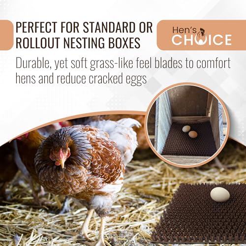 Hen's Choice™ - NestTurf Chicken Nesting Box Pad | Washable Plastic Nesting Box Liner | Chicken Bedding for Coop (12" x 12" (x6 Soft)) - size: 12" x 12" (x6 soft)
