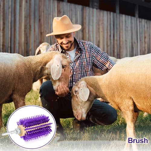 Willinglong 2 Pcs 4 Inches Livestock Mini Drill Scratch Brush Purple Brush Grooming Kit Suitable for Cattle, Cows, Horses, Sheep and Pigs - size: 4 Inch