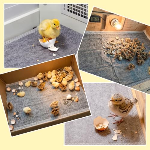 Hatchling Liners for Little Red Chicken Barn Pack 15, Chick Brooder Pads Absorbent, Leakproof Bedding for Baby Chicks, Ducklings