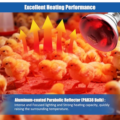 250W Heat Lamp Bulbs 1 Pack Infrared Heat Lamp for Chickens with E26 Socket and 5000 Hours Lifespan Heat Light Bulb for Pets Chicks Reptile Food Service Brooder Coop - size: 1 Pack