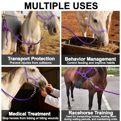 5/8" x 8' Nylon Horse Lead Rope with Cast Iron Hardware(Purple) | Durable nylon material, cast iron hardware, ideal for daily use, training and showing. - color: Purple