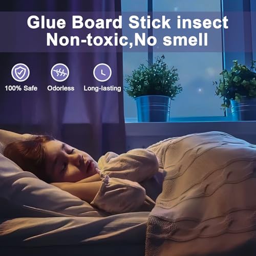 Plug in Flying Insect Trap, Blue Light Bug Catcher, 4 Device+8 Refills | Gnat Traps for House, Indoor Fly Trap for Fruit Fly, Moth and Mosquito, Flying Insect Catcher