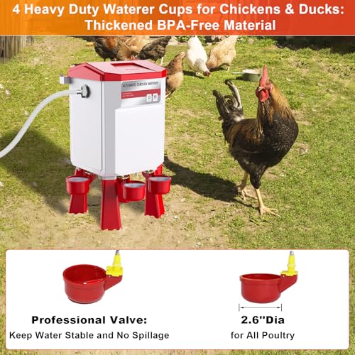 Automatic Chicken Waterer 2 Gallons, Float-Controlled Chicken Water Feeder with 4 Water Cups, 158.4-Inch Hose with 3/4'' and 1/2'' Ends, Large Poultry Waterer for Chick Quail Duck Turkey, Red - color: Red