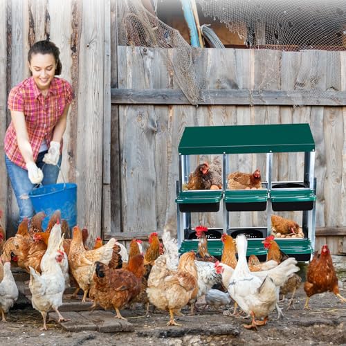 Chicken Nesting Box, 6 Hole 2 Layer Hen Nest Boxes with Legs, Roll Away Eggs Laying Boxes,Cleanable Pull Out Hen Roosting Boxes - size: Green- 6 compartment with legs