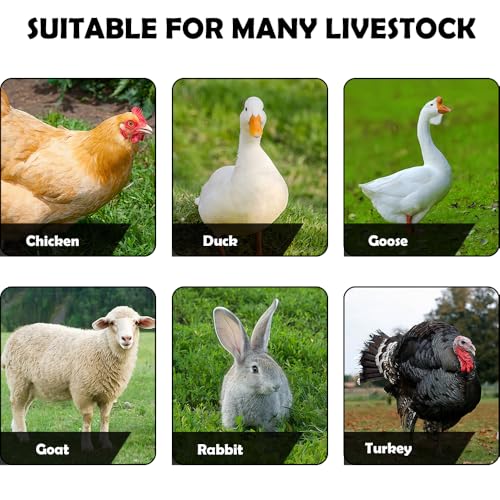 4 Pack Chicken Cage Tray Plastic Feed Trough Bucket for Chicken Duck Pigeon Goat Livestock Pet Poultry (Black, Length 21.2 inches)