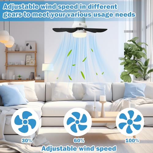 Solar Ceiling Fans with Lights Battery Built-in10000mAh Portable ,17" LED Fan Light Hanging with HookCan be timed for 2/4/8 hours, 3 Speeds with Remote , solar fans with Light for Patios, Canopy