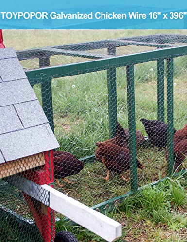 TOYPOPOR Chicken Wire 16'' x 396''(40cm x 10m), Outdoor Anti-Rust Hexagonal Galvanized Chicken Wire Mesh Fencing to Protect Gardening Plants Vegetables Flowers Fruits From Dogs Rabbits Squirrels, 32ft - size: 33ft/10m +100Ties