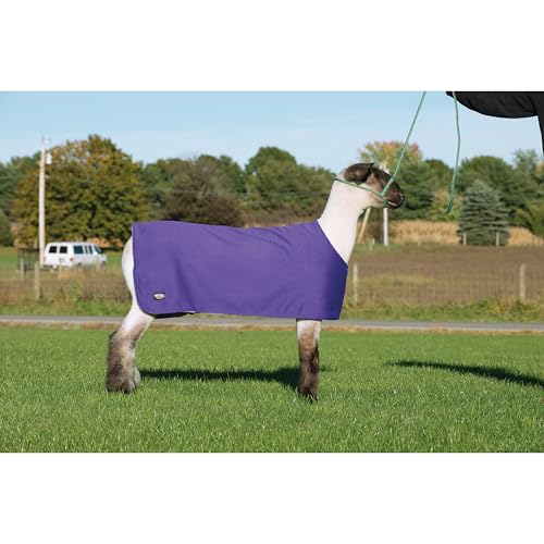 Weaver Leather Sheep Underblanket Large/Extra Large Purple