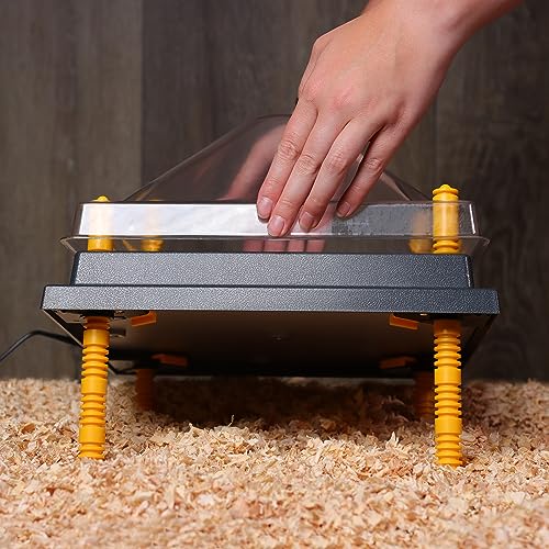 Rural365 Chick Heating Plate and Brooder Plate Cover - 10 Inch Brooder Heat Plate for Chicks with Adjustable Height