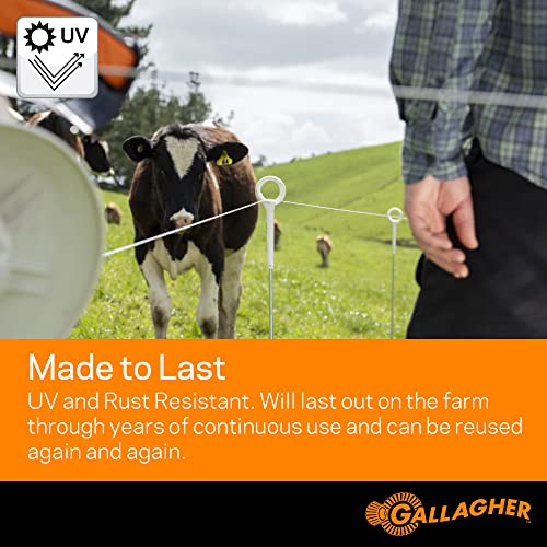 Gallagher Electric Fence Turbo Braid |Bonus Pack -1312 Ft Plus Free 328 Foot Roll |9 Mixed Metal Braided Strands for Reliable High Conductivity and Rust Resistance | 7/64" Highly Visible Striped Braid