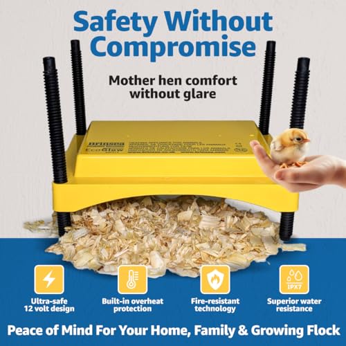 Brinsea Ecoglow Safety 600 Chick or Duckling Brooder, Up to 20 Chicks | 50+ years of trusted care! Height-adjustable 12W Brooder Plate delivers safe low voltage heat for natural stress-free growth - size: Up to 20 newborn chicks or 12 older chicks