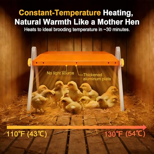Chicken Coop Heater, Briidea 80W Chicken Heater with 110–130℉ Constant Heat, Energy-Efficient, Adjustable Height & Angle, 10 PET Cleaning Film, Mother-Hen-Like Comfort, 10" x 10" for 15 Small Poultry - color: Cross support