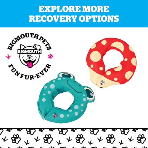 Rainbow Inflatable Dog Recovery Collar, Comfortable Cone Replacement for Pet Surgery, Protective Collars to Prevent Licking & Biting, Size Large - size: Large