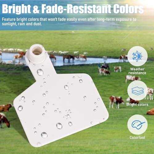 Blank Ear Tags 100 Pieces Livestock Identification Tags Blank Livestock Ear Tags for Cattle Cow Pig Goat Sheep Dog (White 3x2.44'') - color: White 3x2.5''