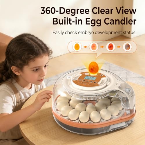 Incubators for Hatching Eggs with Smart Voice Assistant, 26 Eggs Incubator with Automatic Egg Turner and Humidity Control, LED Egg Candler, Incubation Days Display, for Chicken, Duck, Goose, Bird Eggs - size: 26 Chicken Eggs with Voice Assistant