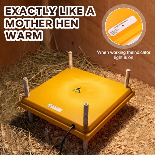 Riakrum Large Chick Brooder Heating Plate 16" x 16" Brooder Heater for 50 Chicks with Adjustable Height Poultry Heating Plate Constant Temperature 131°F Safe Heat Lamp for Ducklings and Quail