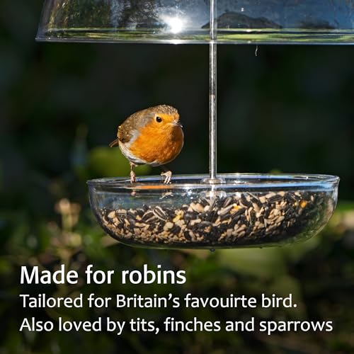 Mealworm Feeder - Jacobi Jayne® Pearl Feeder - Dome Bird Feeder for Small Birds - Bluebird Feeder for Mealworms - Platform Bird Feeder with Dome Cover - Covered Mealworm Feeder - Attracts Blue Birds
