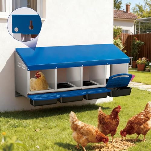Garvee 4-Hole Roll Away Egg Collection Chicken Nesting Box | Galvanized Steel Nest Box for Laying Eggs - color: Blue, size: 4 holes