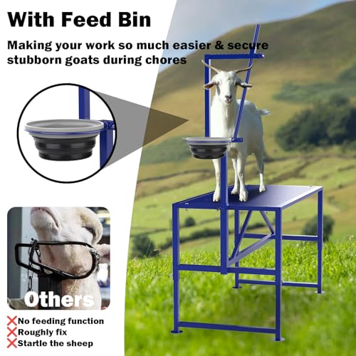 Goat Milking Stand with Feed Bin, 400LBs Goat Stand for Sheep Trimming and Milking, Hoof Trimming Stand Adjustable Size for Pygmy, Dwarf Goats, Iron Blue - color: Blue, size: M-35*18 Inch