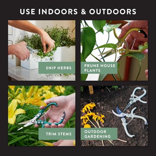 Modern Sprout Pruning Shears - Garden Snips - Herb Scissors - Multi 4-Pack | Lightweight Gardening Tool - Durable Carbon Steel Blade W/Easy-Lock - Gardening Supplies - Flower Cutter - Reusable Holster - color: Multicolor - 4pcs