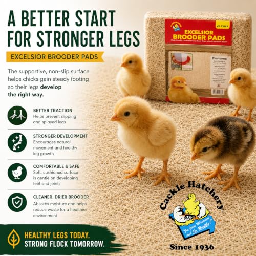 Cackle Hatchery Excelsior Brooder Pads for Chicks (25 Pack) - 9"x12" Aspen Excelsior Pads for Lining Chick Brooders - size: 25