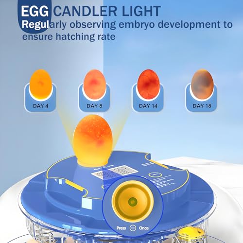 18 Egg Incubator with Automatic Egg Turning and Humidity Control,Water Refill,Egg Candler,Incubators for Hatching Chicken,Ducks,Goose,Quail,Pigeon,Parrot,Turkey for Farm, Home,Science Classroom