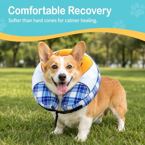 Avont Inflatable Cowboy Dog Cone Collar, Soft Recovery E-Collar | M+: Neck 13.0-14.9", Width 4.3". Soft inflatable donut, washable cover, stops licking & scratching - size: M+(Neck 13"-14.9")