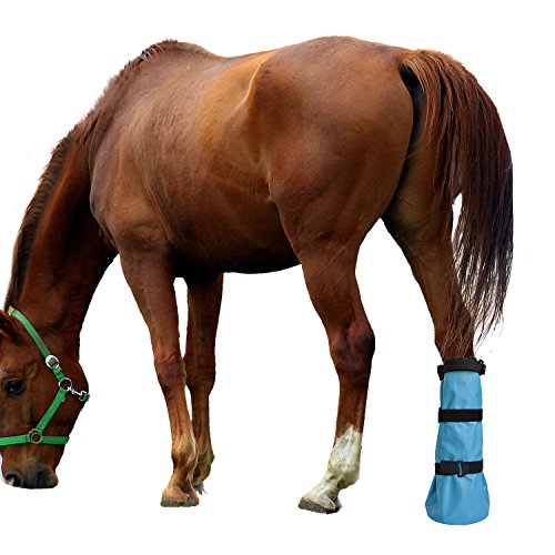 yeezo Easy Use Hoof Soaking Boot for Horse Soaker Bag Equine Soaking Boot Hooves Care Treatment Bucket Soaker Sack with EVA Pad and 2 Elastic Bands