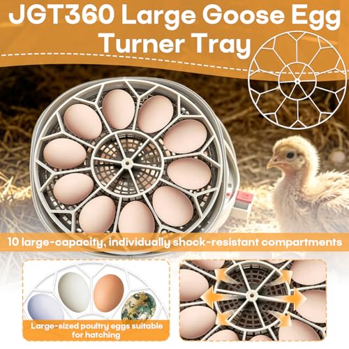JGT360 Goose Egg Tray, Holds 10 Eggs, Compatible with Nurture Right 360 | Accommodates Jumbo & Heavy Breed Types, Promotes Even Airflow, Sturdy Washable Build, Reliable Replacement