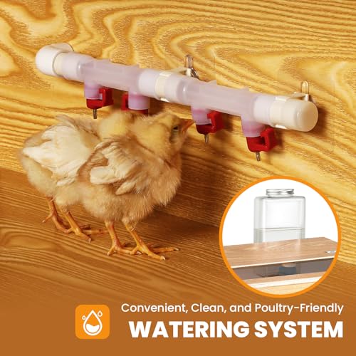 32" Chicken Brooder Brooder for Chicks with Feeder & Waterer | Upgrade Sliding Door Design, Super Easy to Clean Up to 30 Chicks 32" L x 16" W x 16" H