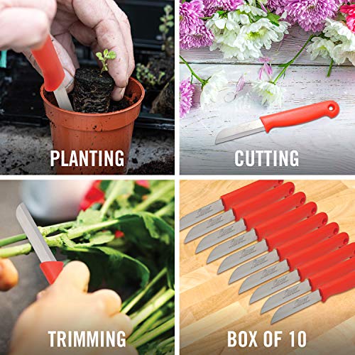 Clauss fixed blade Straight Floral Knives, Comes in a Box of 10 - style: Floral Knives