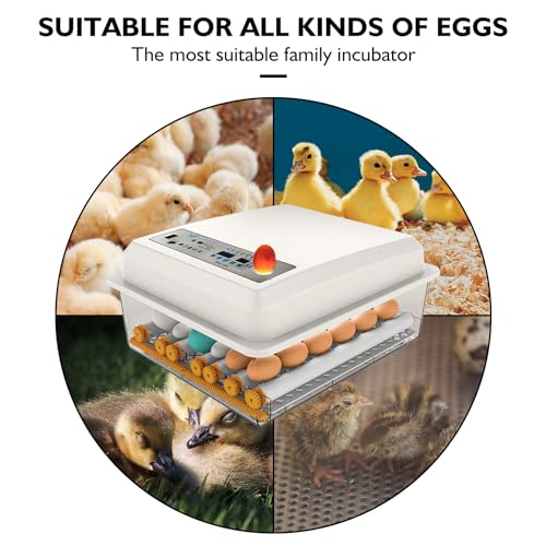 Egg Incubator,Egg Incubator with Automatic Egg Turning and Humidity Control,Poultry Hatcher for Chickens Ducks Birds (56 Eggs) - size: 56 Eggs