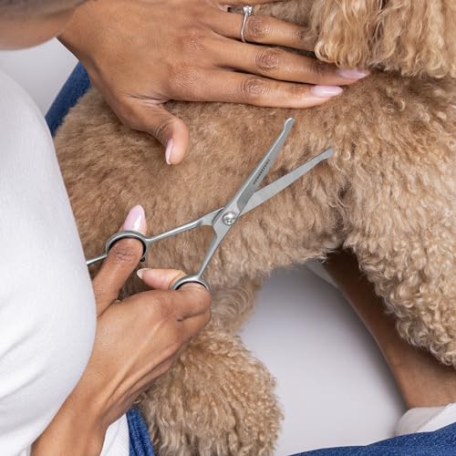 Tweezerman 7" Pet Grooming Shears-Safety Round Tips for Dogs & Cats - style: 7" Shears