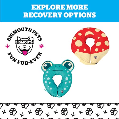 Rainbow Inflatable Dog Recovery Collar, Comfortable Cone Replacement for Pet Surgery, Protective Collars to Prevent Licking & Biting, Size Small - size: Small