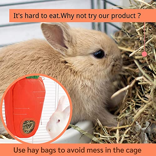 JanYoo Hay Feeder for Guinea Pigs Rabbit Food Dispensers Bag Rack Storage Manage Hanging Feeding Large Capacity 0.26lb - color: B-Carrot