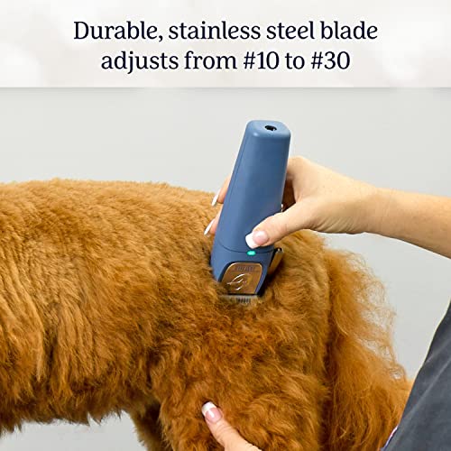 Oster® Professional Fast Feed® Cordless Pet Clippers, Blue