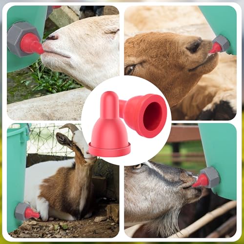 12Pcs Sheep Goat Lamb Milk Nipples Soft Rubber Pacifier | Lamb Pacifier for Small Animal Feed Orphaned Lamb - size: 12PCS Lamb pacifier