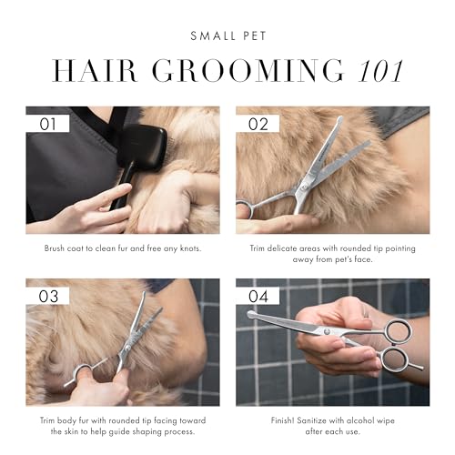 Tweezerman 7" Pet Grooming Shears-Safety Round Tips for Dogs & Cats - style: 7" Shears