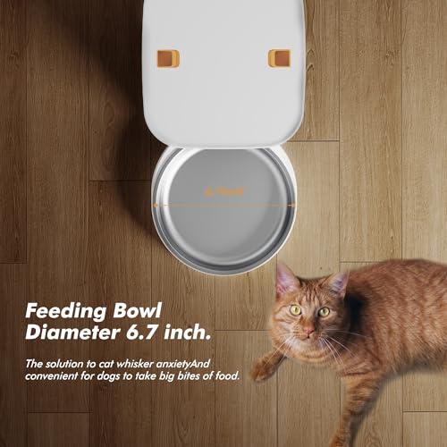 Automatic Dog Feeder - 8L/34 Cups Large Capacity Automatic Cat Food Dispenser with LCD Screen, Large Food Tray, Battery Operated, Timed Cat Feeder, Up to 50 Portions 6 Meals Per Day, Keeps Fresh - color: White