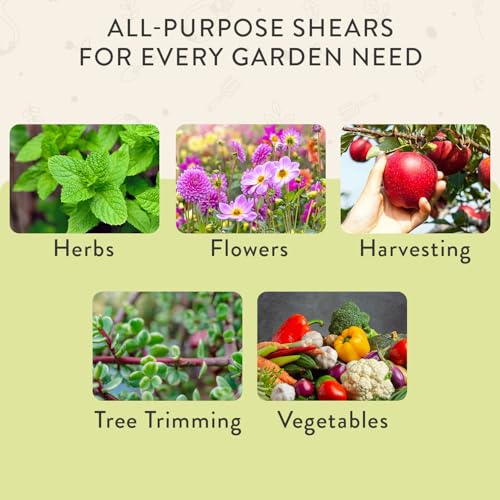 Modern Sprout Pruning Shears- Garden Snips-Herb Scissors- Chartreuse 1-Pack | Lightweight Gardening Tool - Durable Carbon Steel Blade W/Easy-Lock - Gardening Supplies - Flower Cutter - Reusable Holster - color: Chartreuse