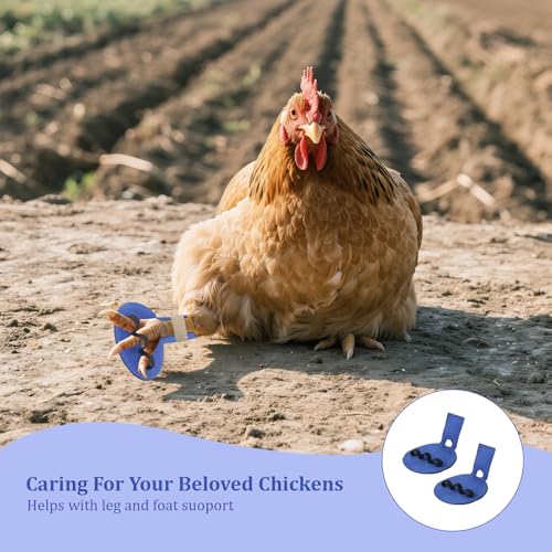 2 Pack Poultry Leg Bands for Chickens, Chicken Splint with Toe Separator, Chicken Leg Bands Specifically Designed for Injured Roosters and Hens, Recovery Aid for Broken, Sprained, Splayed Legs