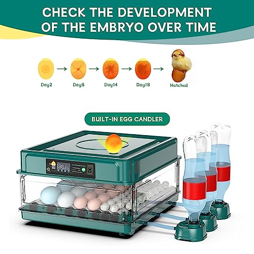 Intelligent Poultry Incubator - 38 Eggs, Automatic Turner & Temperature Control for Hatching Chicken, Quail, Bird & Duck Eggs
