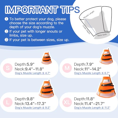 Dog Cone Collar After Surgery to Stop Licking | Adjustable Elizabethan Collar for Neutering, Lightweight Breathable Recovery Neck Cone to Prevent Biting Wounds & Hot Spots (Orang, L) - color: Orange, size: Large