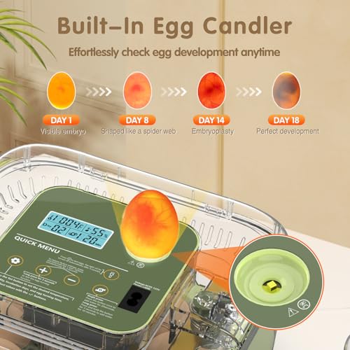 HOWOOlUA 12 Egg Incubator for Hatching Eggs with Auto Turn, Temp & Humidity Control, Built-in Candler Large Capacity Egg Incubator for Chicken Duck Goose Eggs