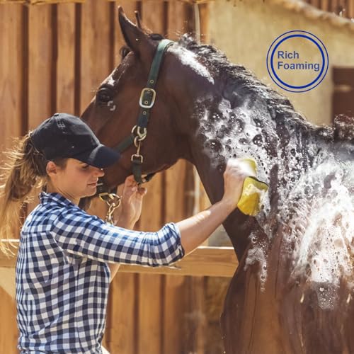 Horse Grooming Kit, Pink Storage Bag with 10 Piece Professional Equestrian Care Tools, Brushes, Combs, Scraper and Gloves (Pink)